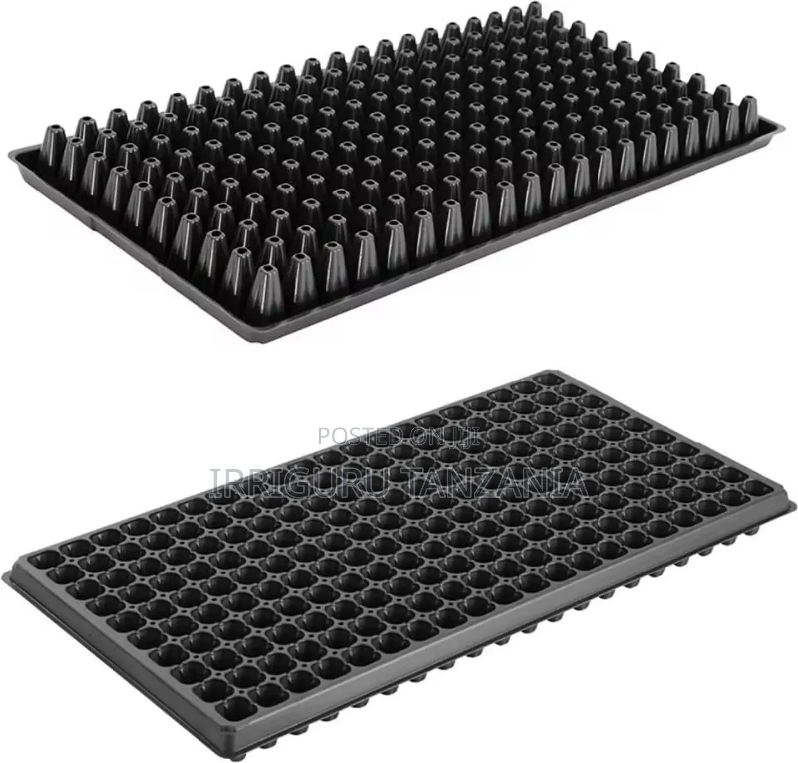 Seed Trays