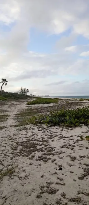 Beach Plot With 5 Acres for Sale at Kigamboni Near Changani Hotel