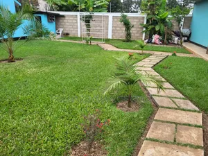 4bdrm Bungalow in Arusha for rent