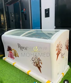 Roch Showcase Freezer 538l