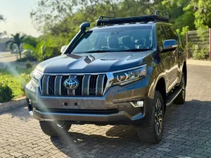 Toyota Land Cruiser Prado 2.8 2023 Gray