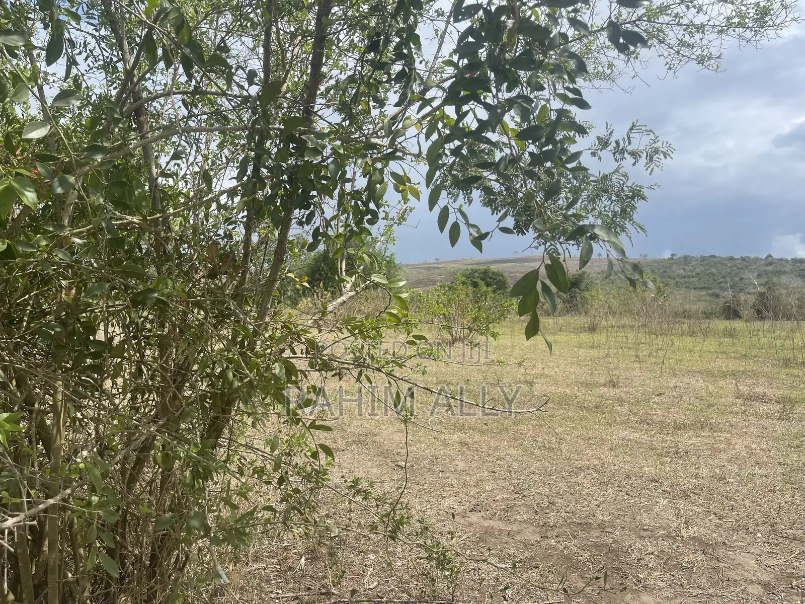 Shamba Linauzwa Lipo Karibu Na Mto
