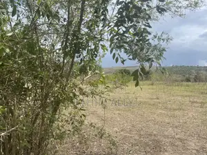 Shamba Linauzwa Lipo Karibu Na Mto