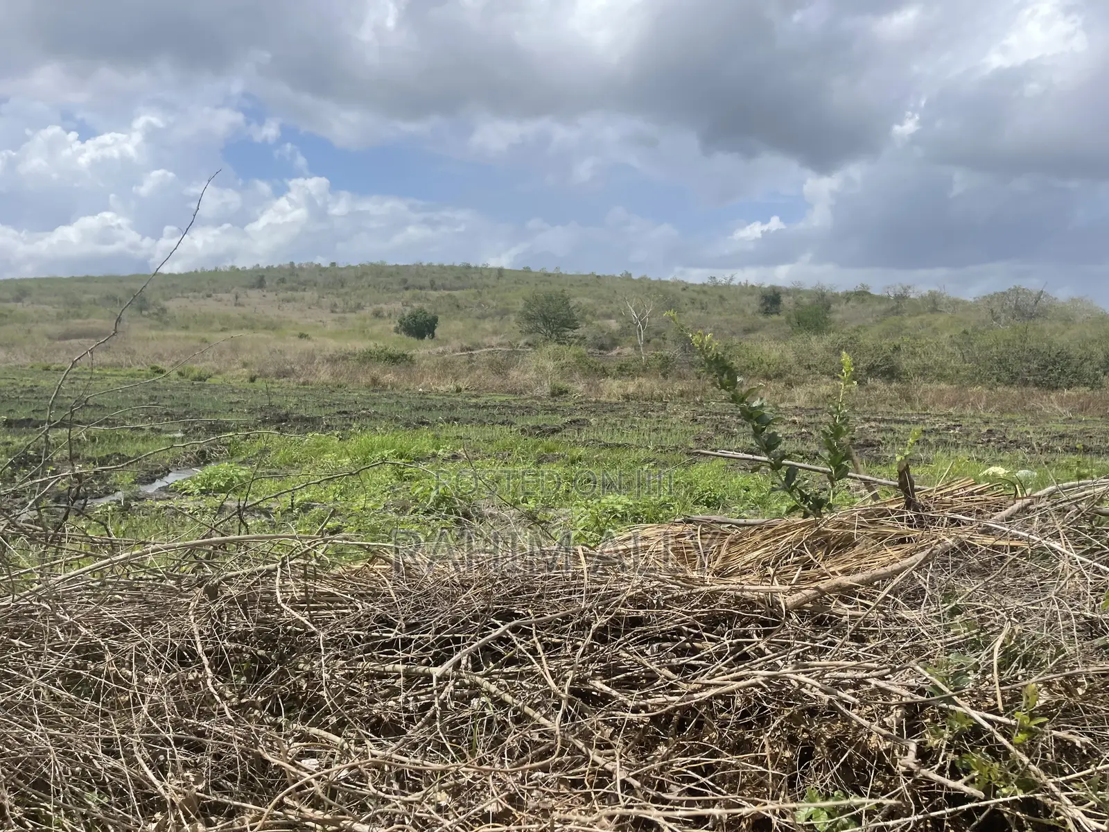 Shamba Linauzwa Lipo Karibu Na Mto