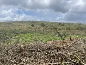 Shamba Linauzwa Lipo Karibu Na Mto
