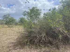Shamba Linauzwa Lipo Karibu Na Mto