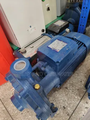 Pedrollo Surface Pump 10hp No.1
