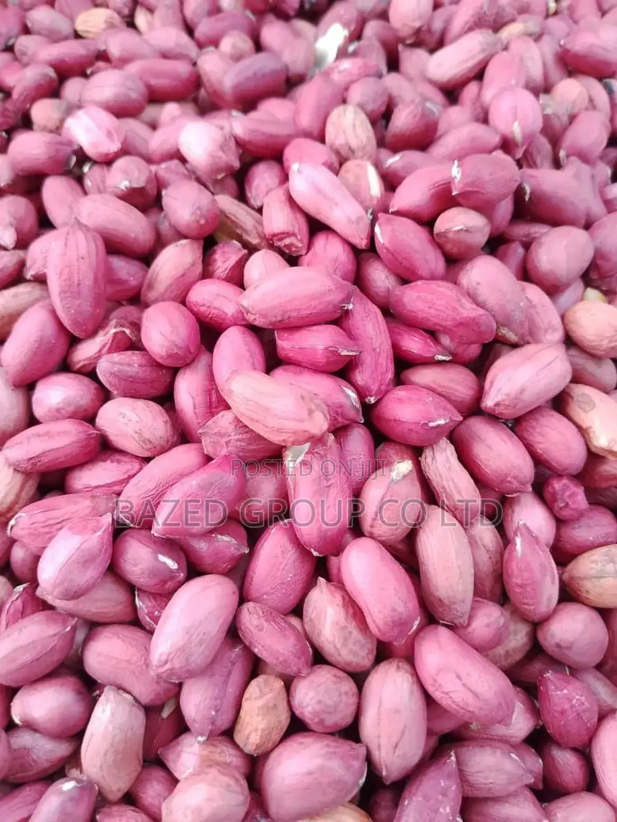 Karanga Nyekundu (Red Peanuts)