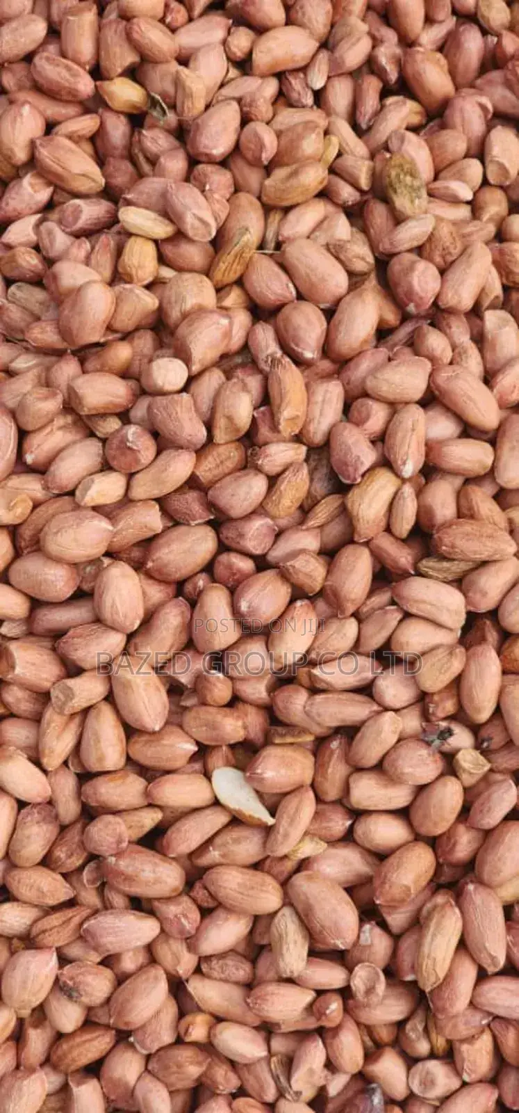 Karanga Nyeupe (White Peanuts)