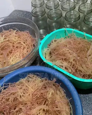Sea Moss (Mwani)