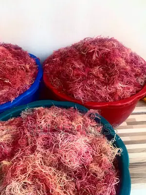 Sea Moss (Mwani)