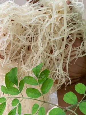 Natural Sea Moss