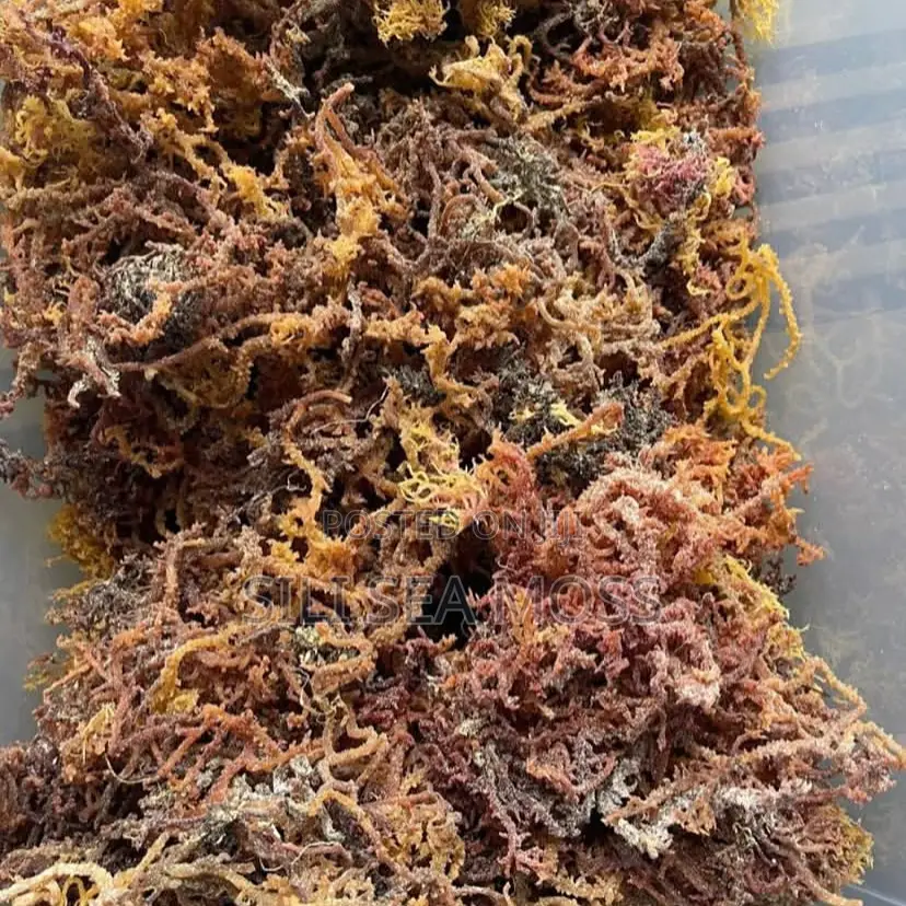 Natural Sea Moss