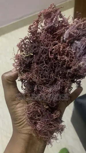 Natural Sea Moss