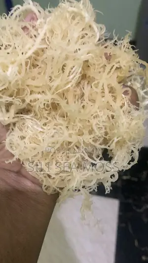 Natural Sea Moss