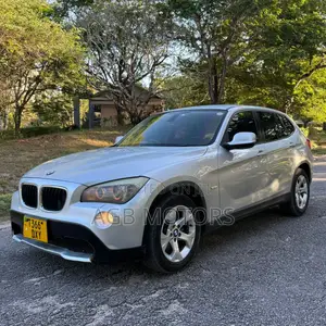BMW X1 2010 Silver
