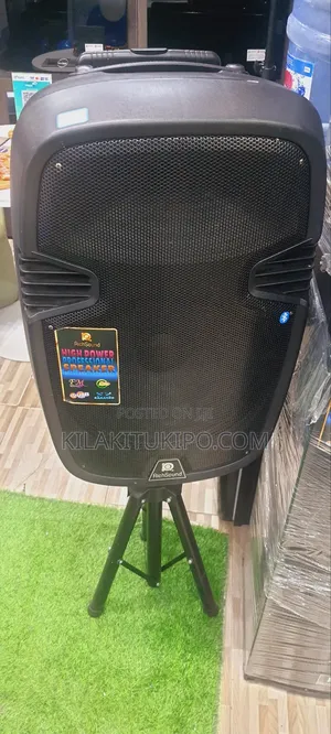 High Power Professional Speaker Rechargeable 15inch