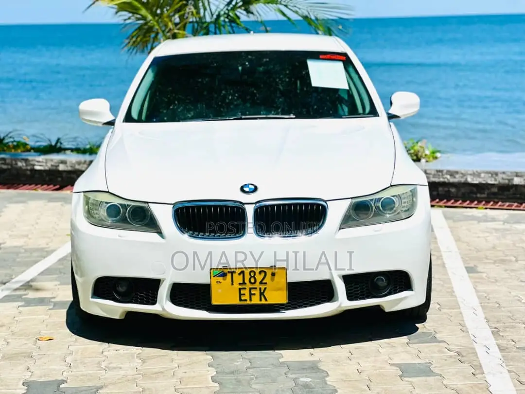 BMW 3 Series 2009 White