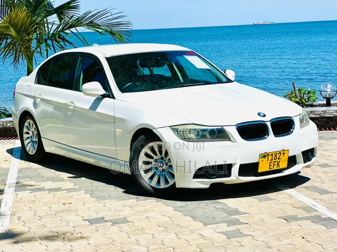 BMW 3 Series 2009 White