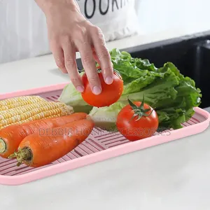 Multipurpose Drain Tray Double-Layer Holding