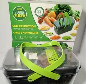 22 in 1 Multifunctional Vegetable Cutter