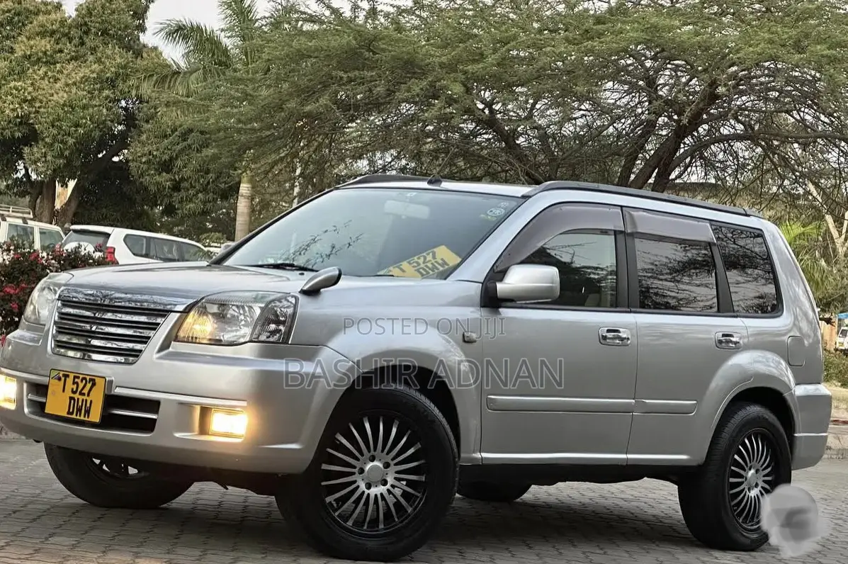 Nissan X-Trail 2.0 2005 Silver