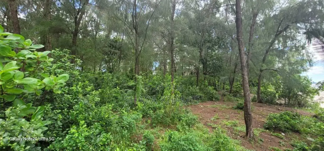 Uroa Beach Front Land for Sale