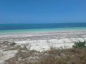 Prime Michamvi Beach Land for Sale