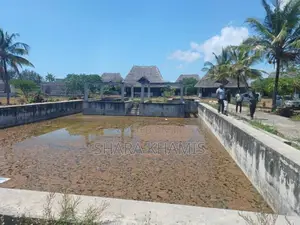 Prime Michamvi Beach Land for Sale