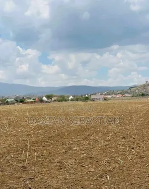 Intell Nado Idara Ya Maji Viwanja Vimepimwa