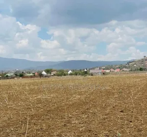 Intell Nado Idara Ya Maji Viwanja Vimepimwa