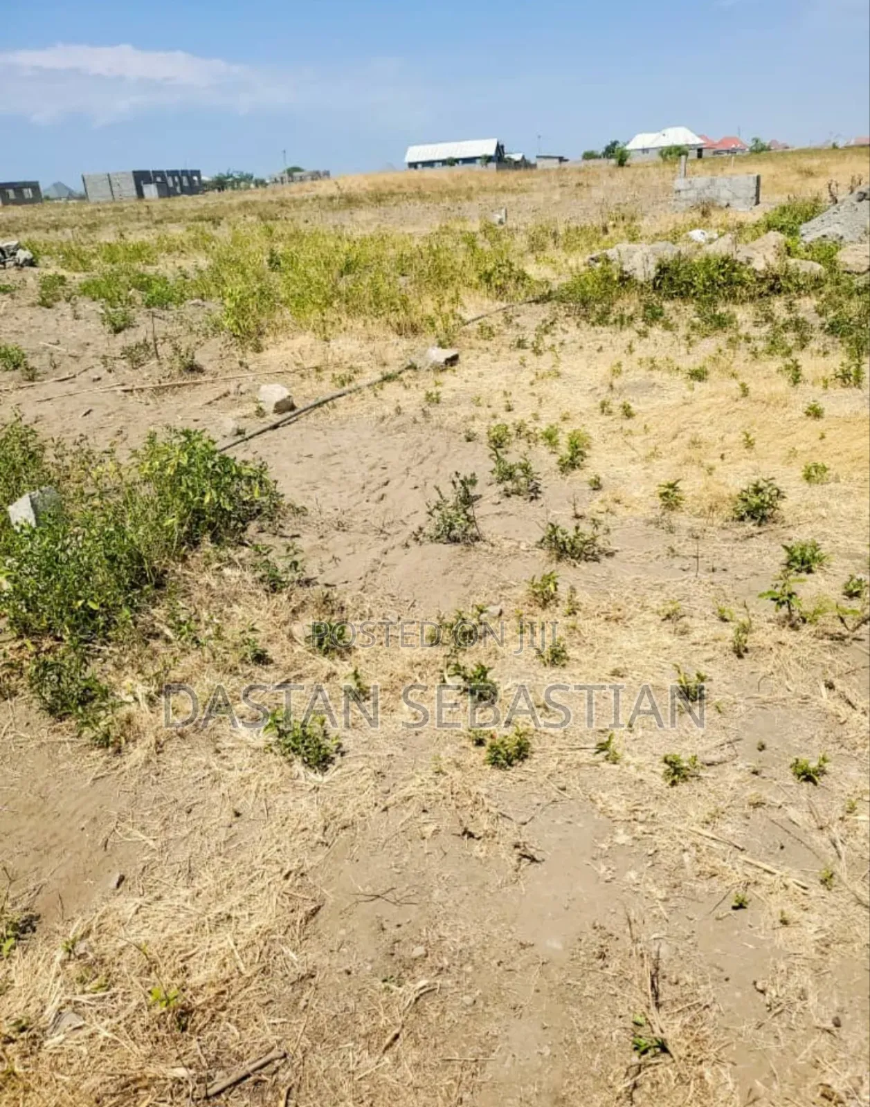 Boma Ng'ombe Kwa Wasomali Stendi Mita 50 Toka Lami