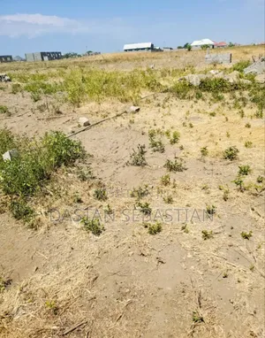 Boma Ng'ombe Kwa Wasomali Stendi Mita 50 Toka Lami