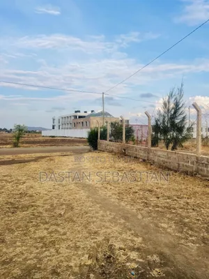 Boma Ng'ombe Kwa Wasomali Stendi Mita 50 Toka Lami