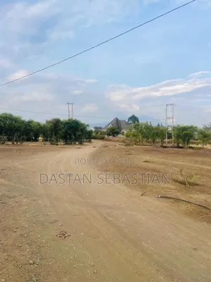 Boma Ng'ombe Kwa Wasomali Stendi Mita 50 Toka Lami