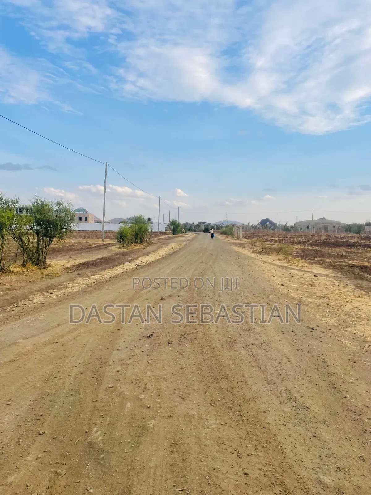 Boma Ng'ombe Kwa Wasomali Stendi Mita 50 Toka Lami