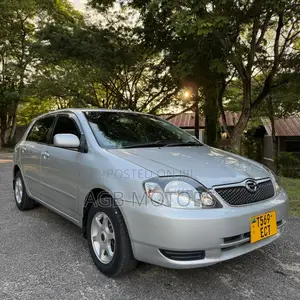 Toyota Corolla RunX 2004 Silver