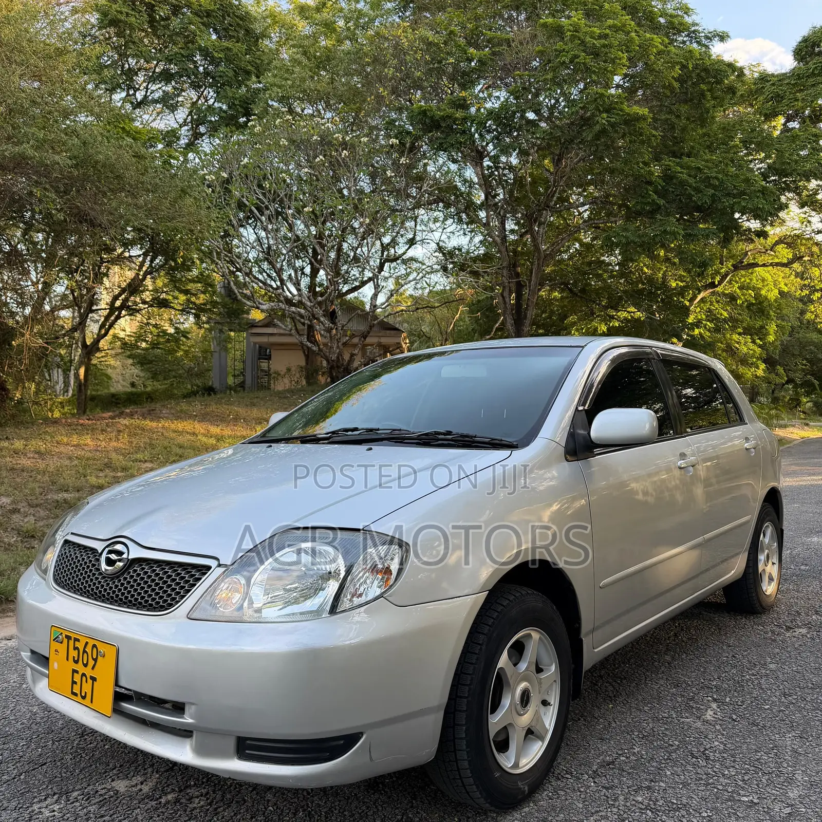 Toyota Corolla RunX 2004 Silver