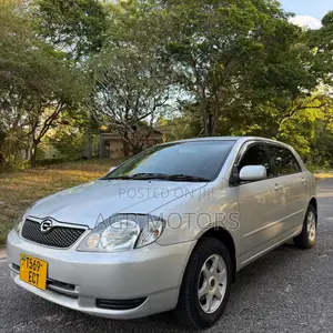 Toyota Corolla RunX 2004 Silver
