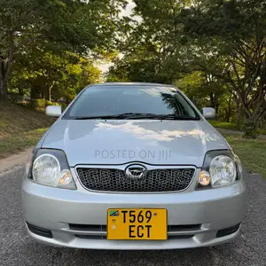 Toyota Corolla RunX 2004 Silver
