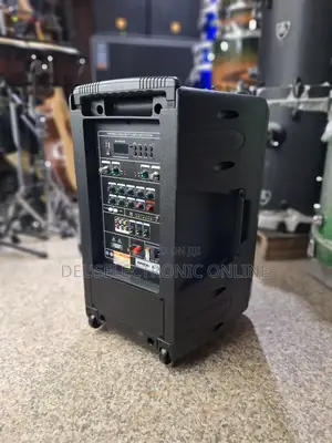 Portable Wireless P. A Amplifier System