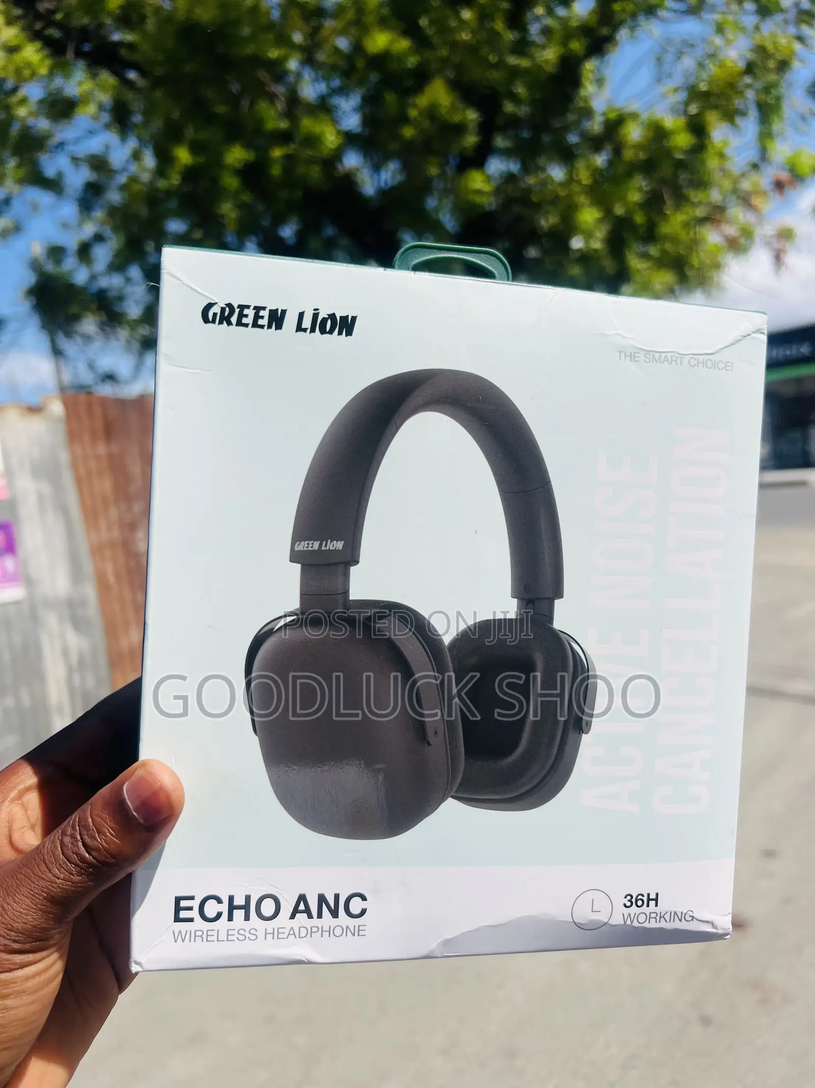 Greenlion Solar Echo Anc