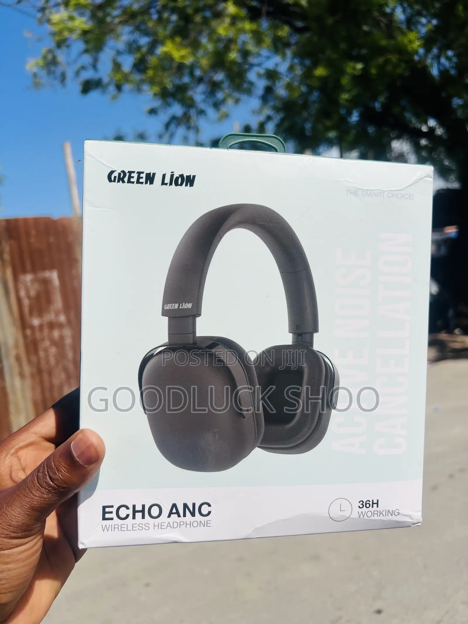 Greenlion Solar Echo Anc