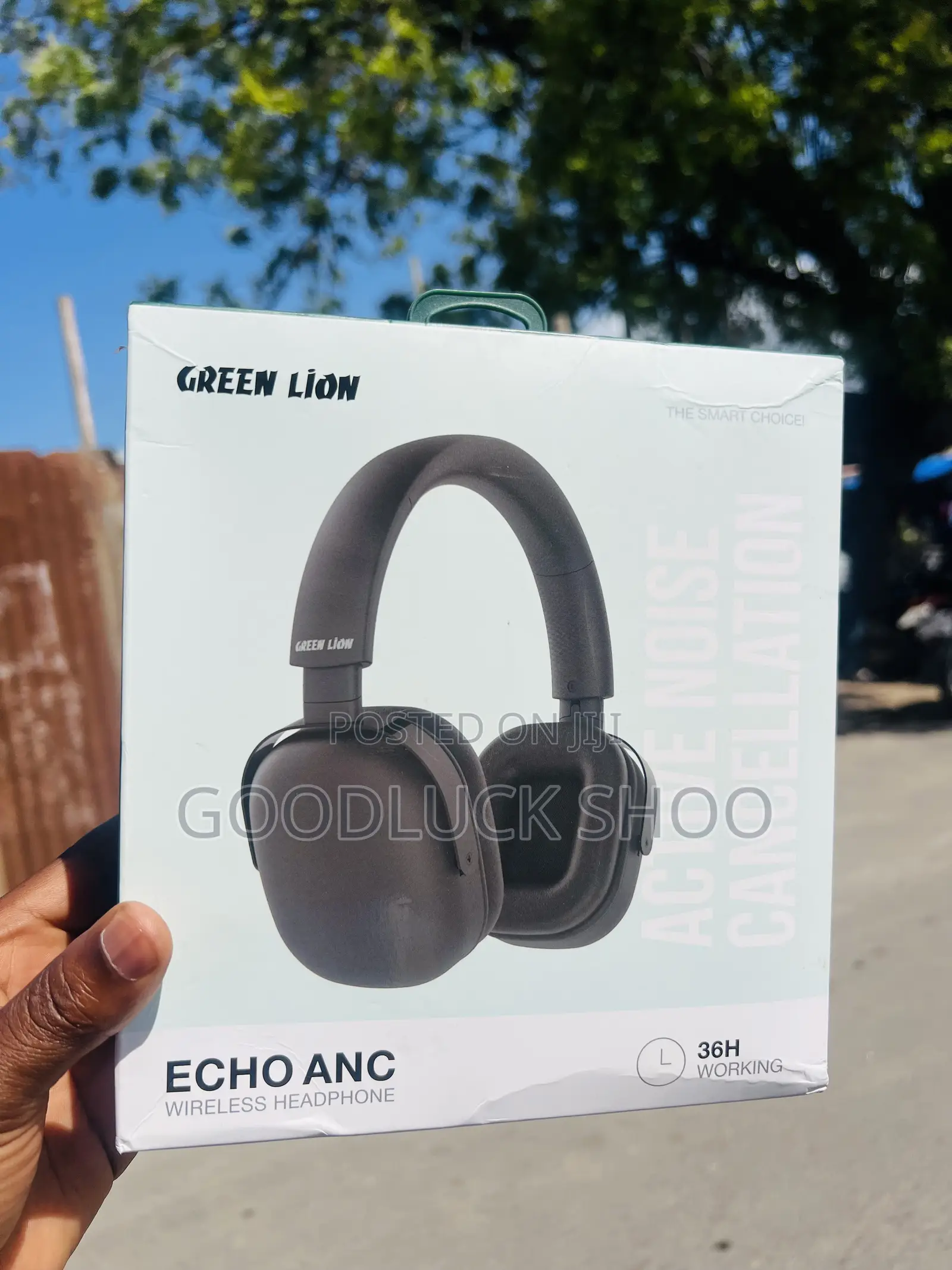 Greenlion Solar Echo Anc