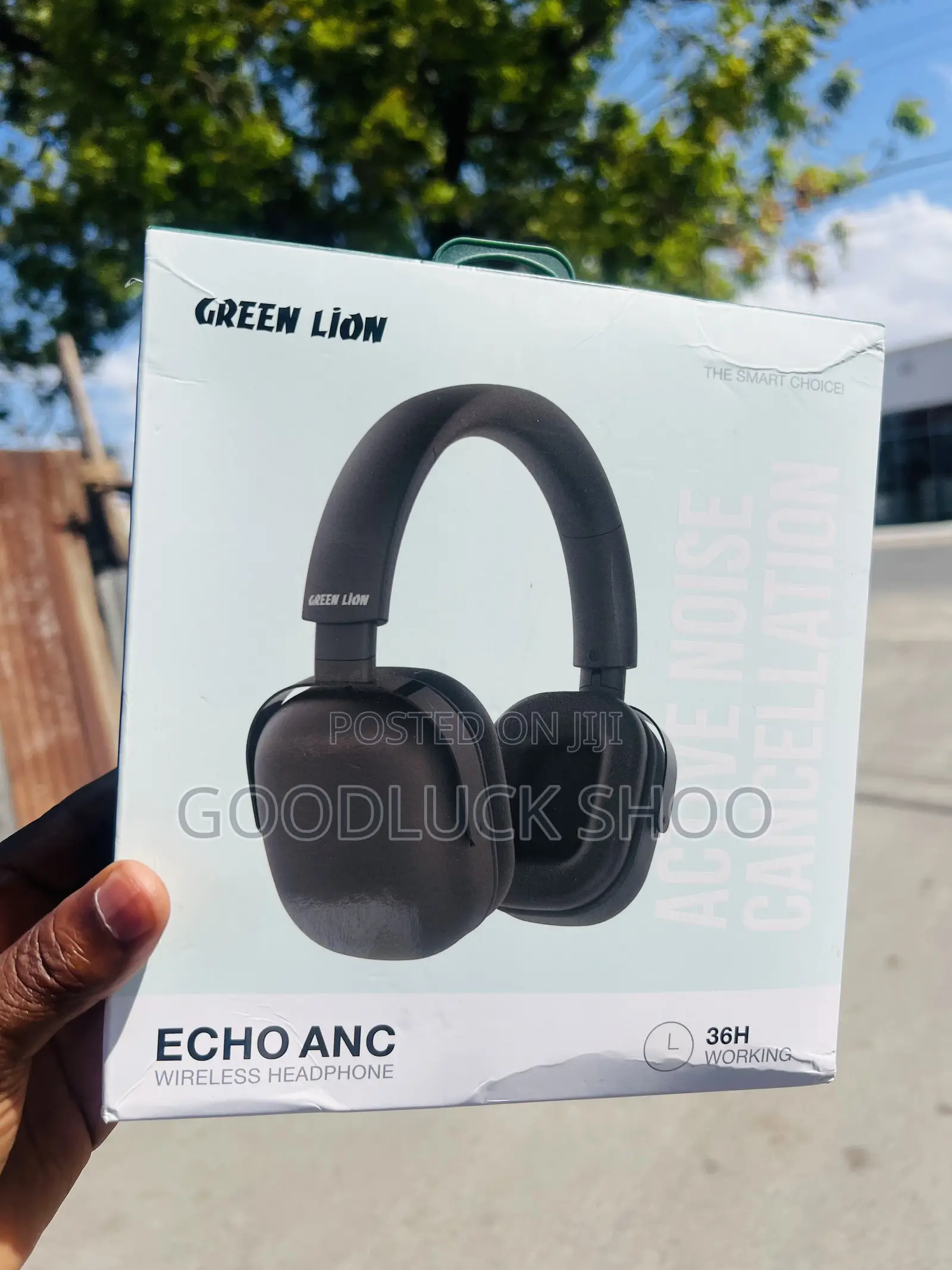 Greenlion Solar Echo Anc