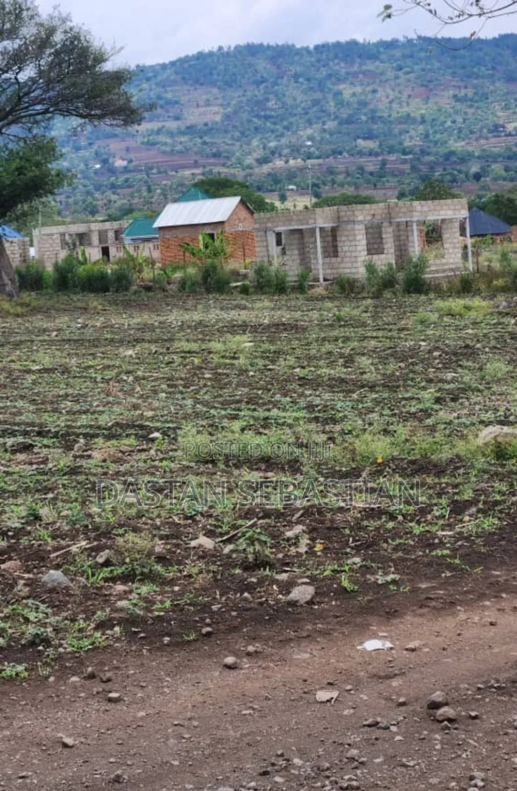 Arusha Maji Ya Chai Vimepimwa Viwanja