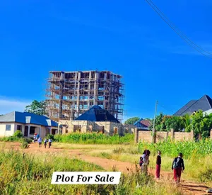 Matevesi New Project