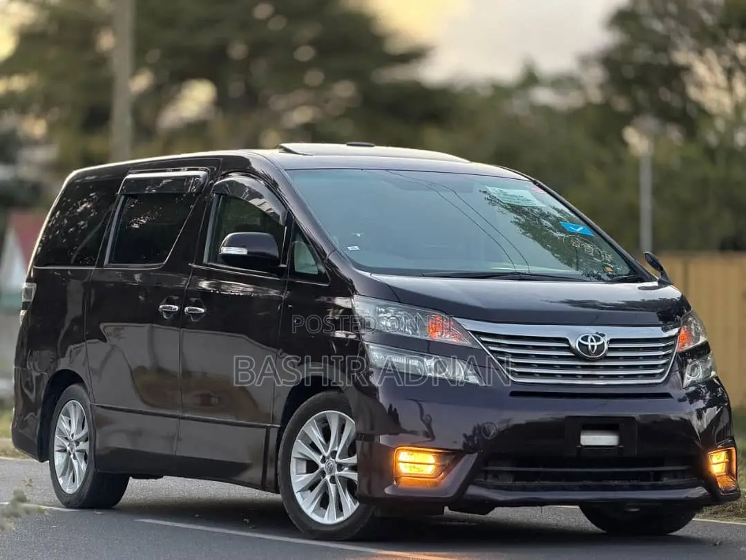 Toyota Vellfire 2009 Purple