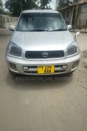 Toyota RAV4 2005 Silver