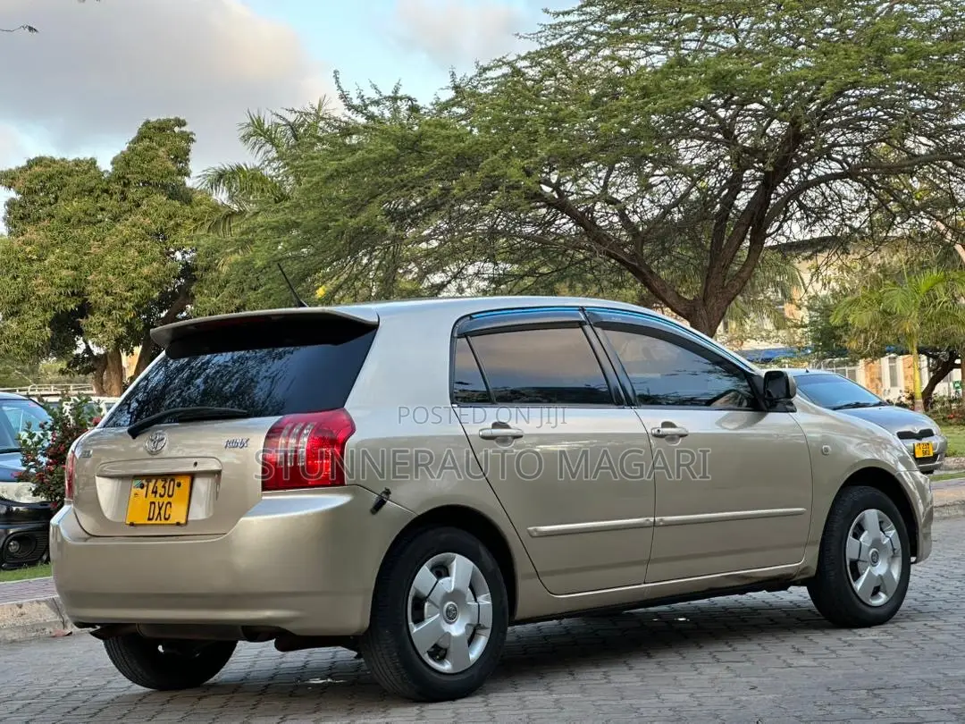 Toyota Corolla RunX 2004 Gold